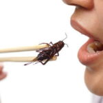 昆虫食に対する　率直な疑問①